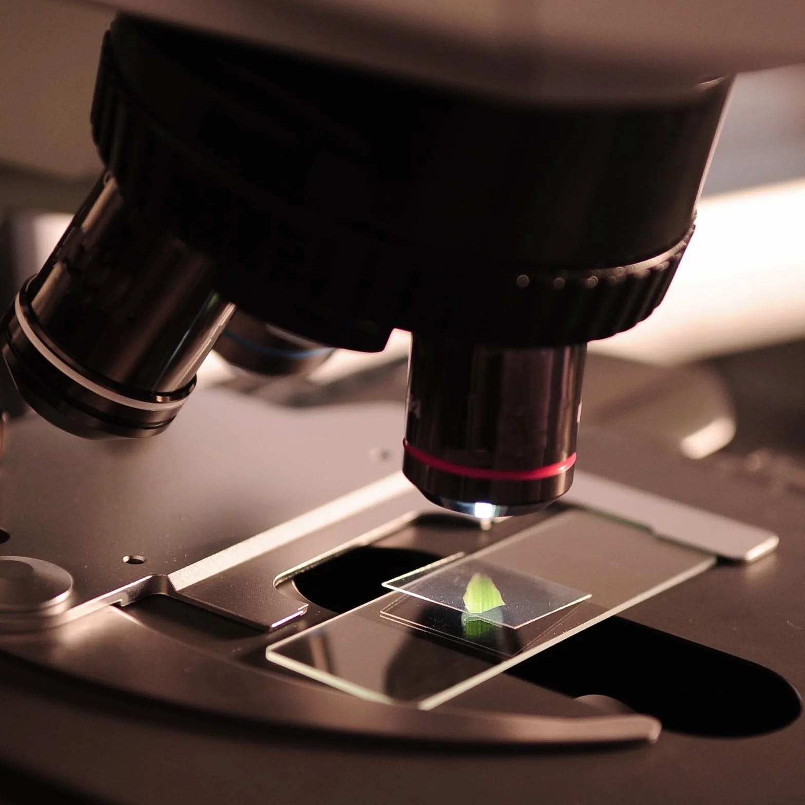 Szkiełka mikroskopowe 50 sztuk przedmiotowych 100 osłonowych z kroplomierzem do laboratorium
