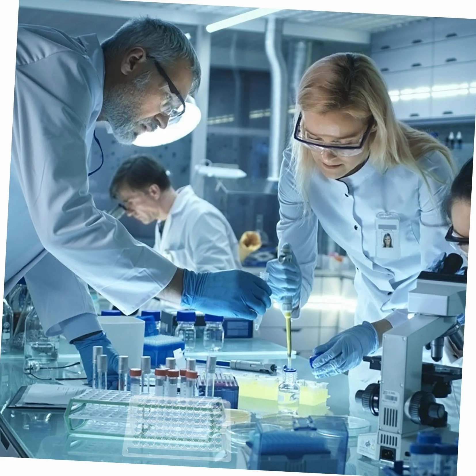10kawałki Płyta Hodowlana Sztuk Dołkowa Do Kultury Komórkowej Plastikowa Trwała i Łatwa Obsłudze Idealna Do Laboratorium i Analizy Próbek