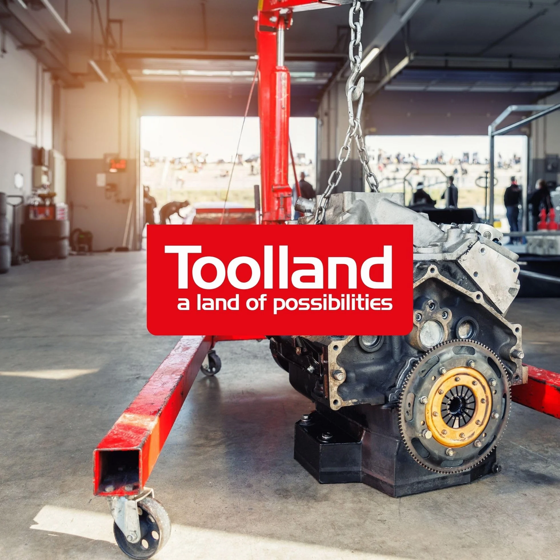 Toolland Wyciąg ręczny 250 kg ze stali nierdzewnej z zapadką i liną, przełożenie 3.1:1, czarny wyciąg przyczepowy z ergonomiczną korbą, idealny do łodzi, przyczepy i podnoszenia