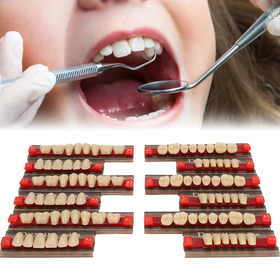 Sztuczne Zęby z Żywicy Profesjonalny Polerowany Kształt do Modelowania