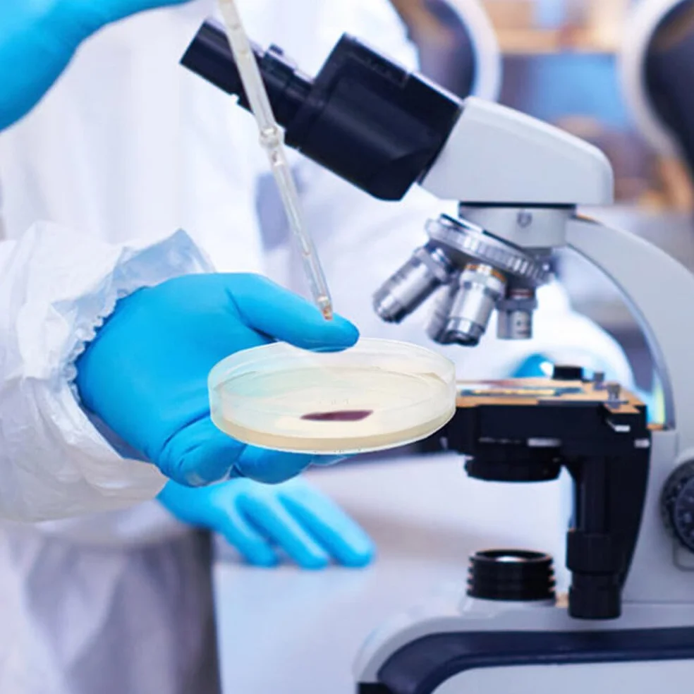 Mobestech Przenośne Płytki Agarowe Laboratoryjne 20 Szt Szalki Petriego Z Agarem