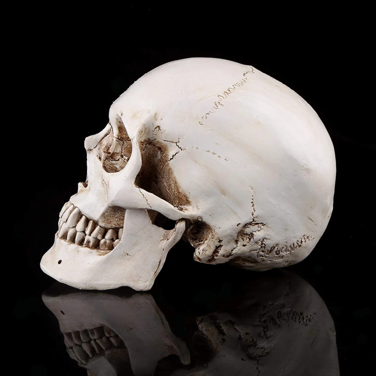 Replika ludzkiej czaszki 1:1 naturalnej wielkości żywica anatomiczny model medyczny Halloween