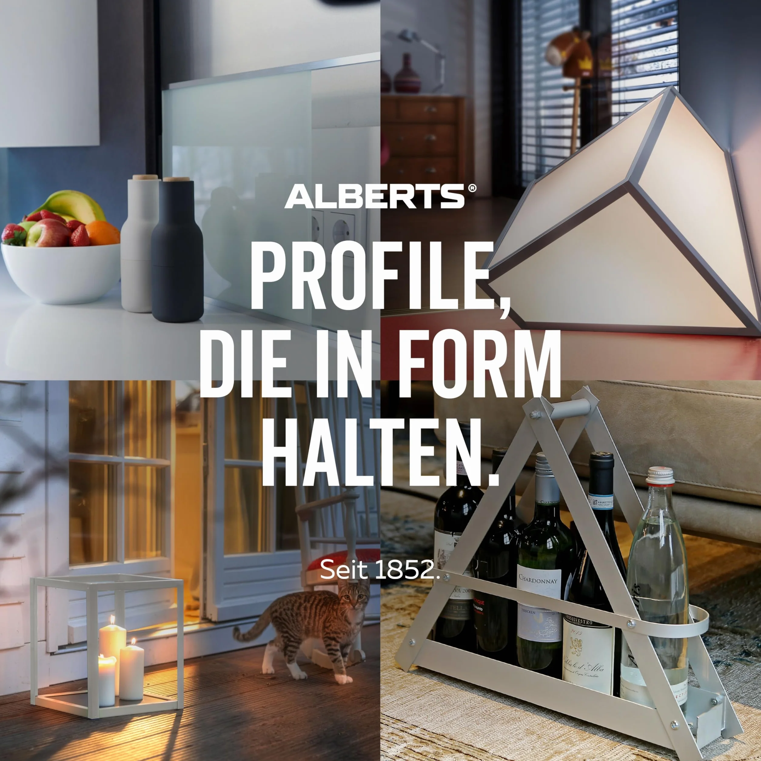 Alberts 468873 profil kątowy | żłobienie | aluminium, niezapisane | 1000 x 41,2 x 41,2 mm