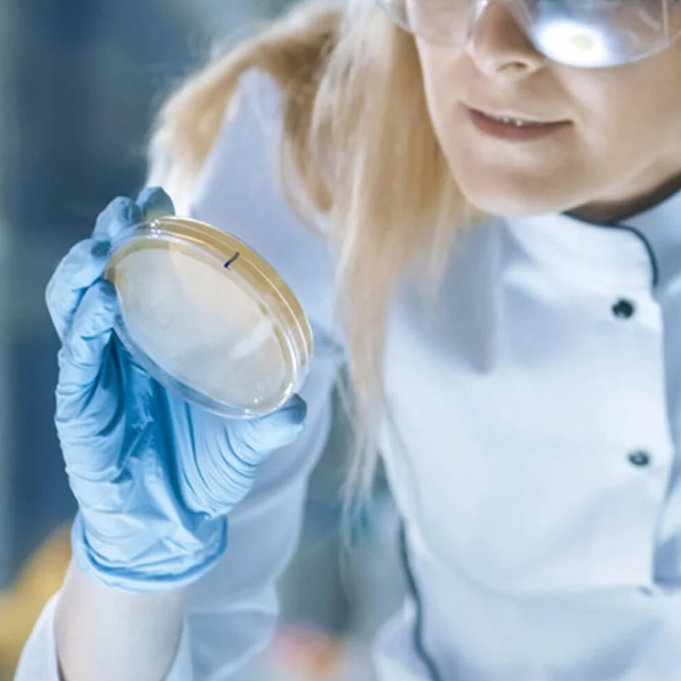 Mobestech Przenośne Płytki Agarowe Laboratoryjne 20 Szt Szalki Petriego Z Agarem