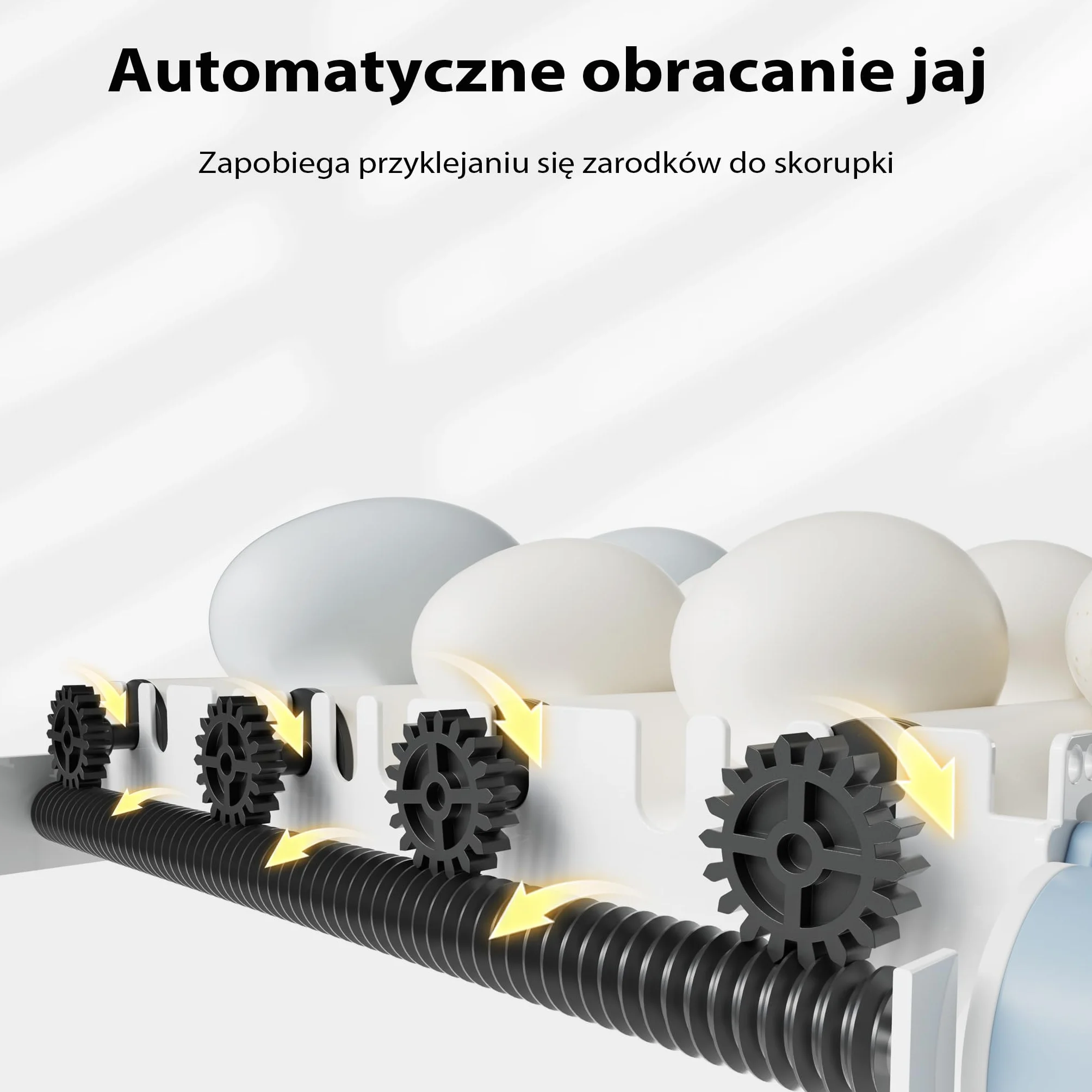 W pełni automatyczny inkubator powierzchniowy Fudajo na 24 jaja, inkubator 80 W z systemem obracania, inkubator z kontrolą temperatury i regulacją wilgotności, inkubator do jaj wylęgowych