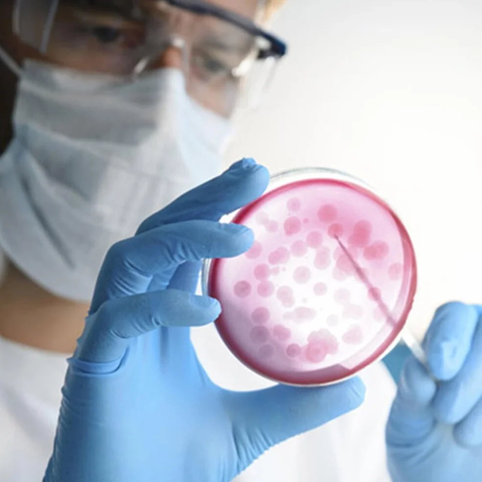 Mobestech Przenośne Płytki Agarowe Laboratoryjne 20 Szt Szalki Petriego Z Agarem
