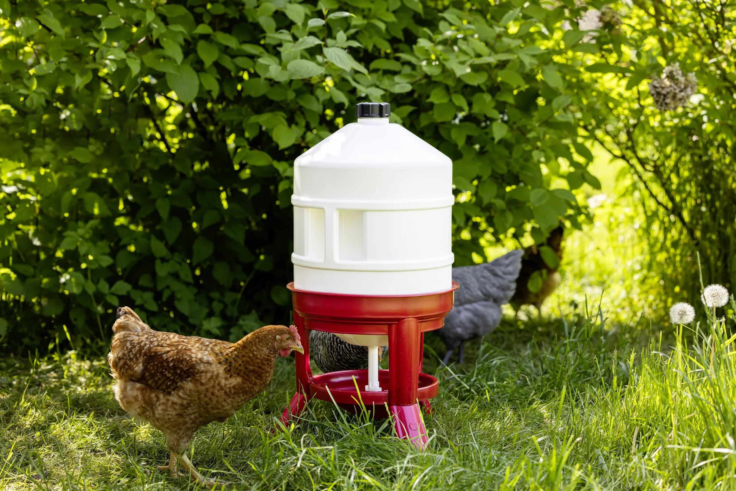 Kerbl 70233 Poidło Dla Drobiu, 30 L